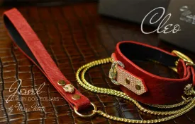 Cleo Collar   Leash