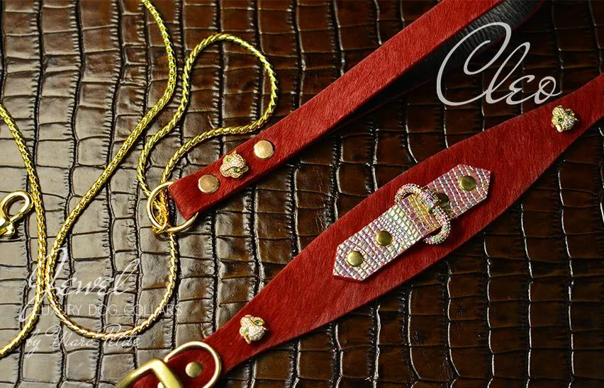 Cleo Collar   Leash