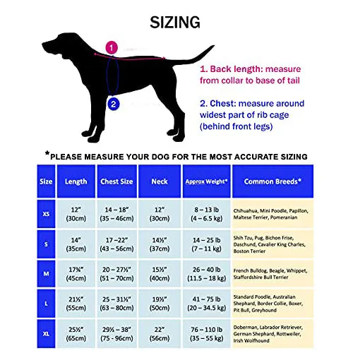 DOGZSTUFF Dog Cooling Vest Triple-Layer Microfiber Cooling Jacket. Dual Function Light Cold Weather Coat, Summer Shirt or Winter Vest. for All Small Medium or Large Dogs (XS, Light Blue)