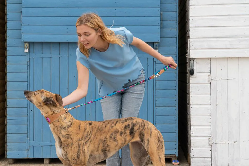 Inca Blue Hound Collar