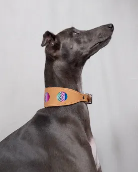 Inca Blue Hound Collar