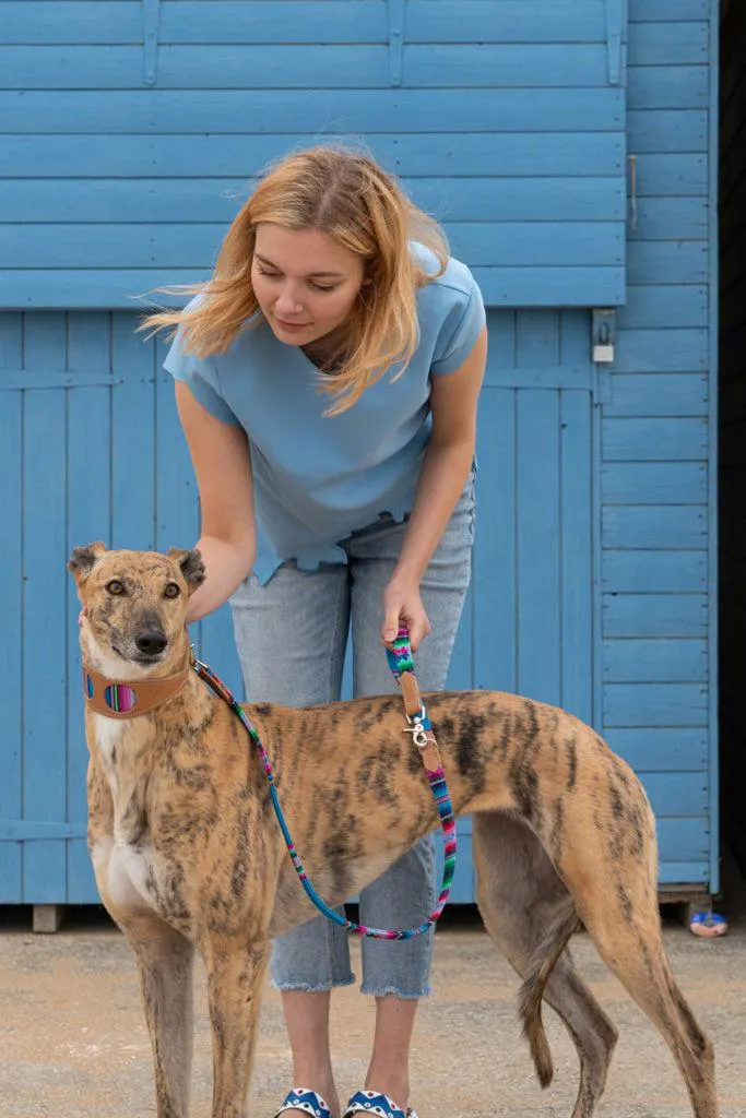 Inca Blue Hound Collar