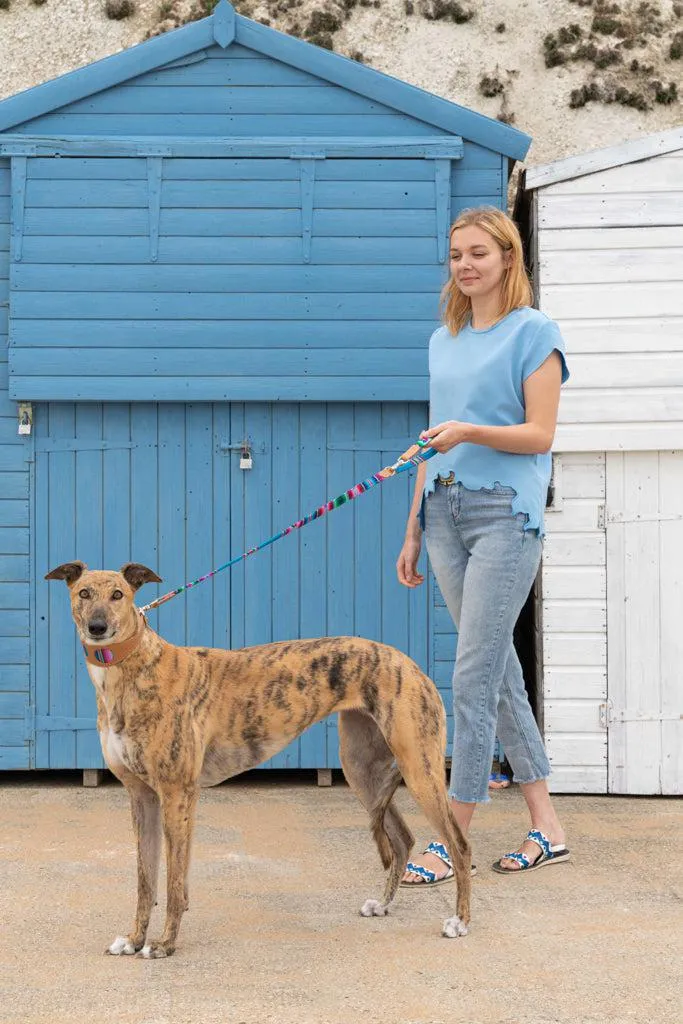 Inca Blue Hound Collar