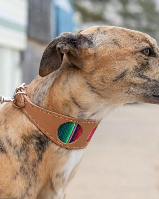 Inca Blue Hound Collar