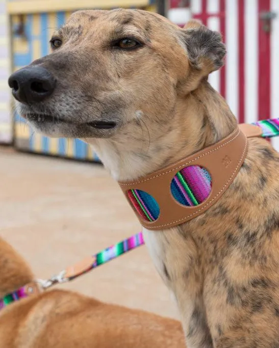 Inca Blue Hound Collar