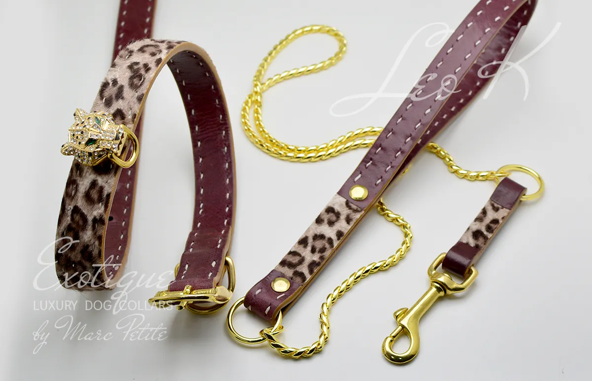 Leo K - Dog Collar   Leash