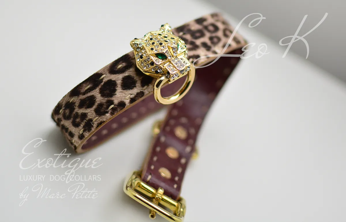 Leo K - Dog Collar   Leash