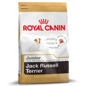 Royal Canin Jack Russell Junior - 500g