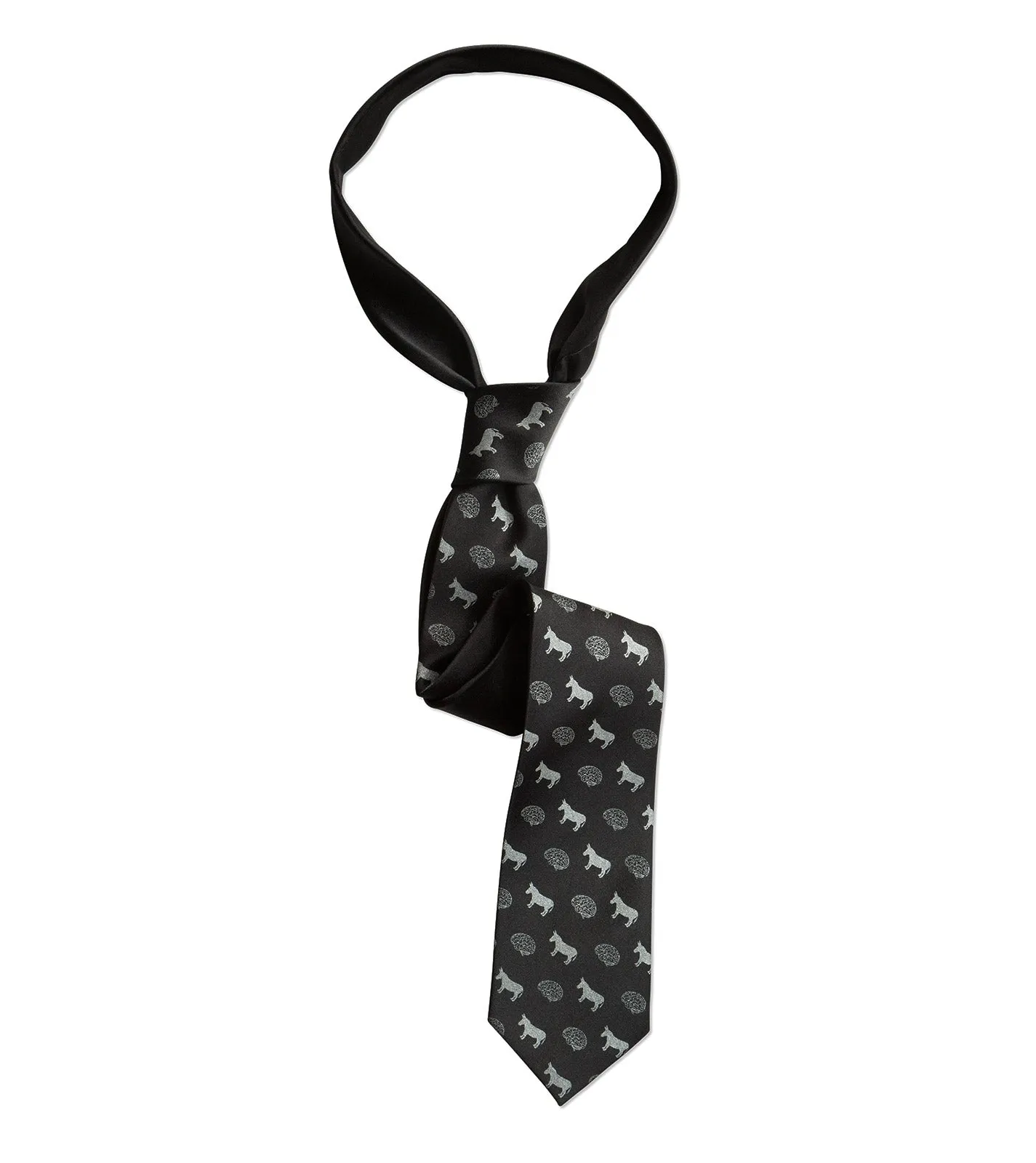 Smart Ass Necktie, Brain & Donkey Print Tie