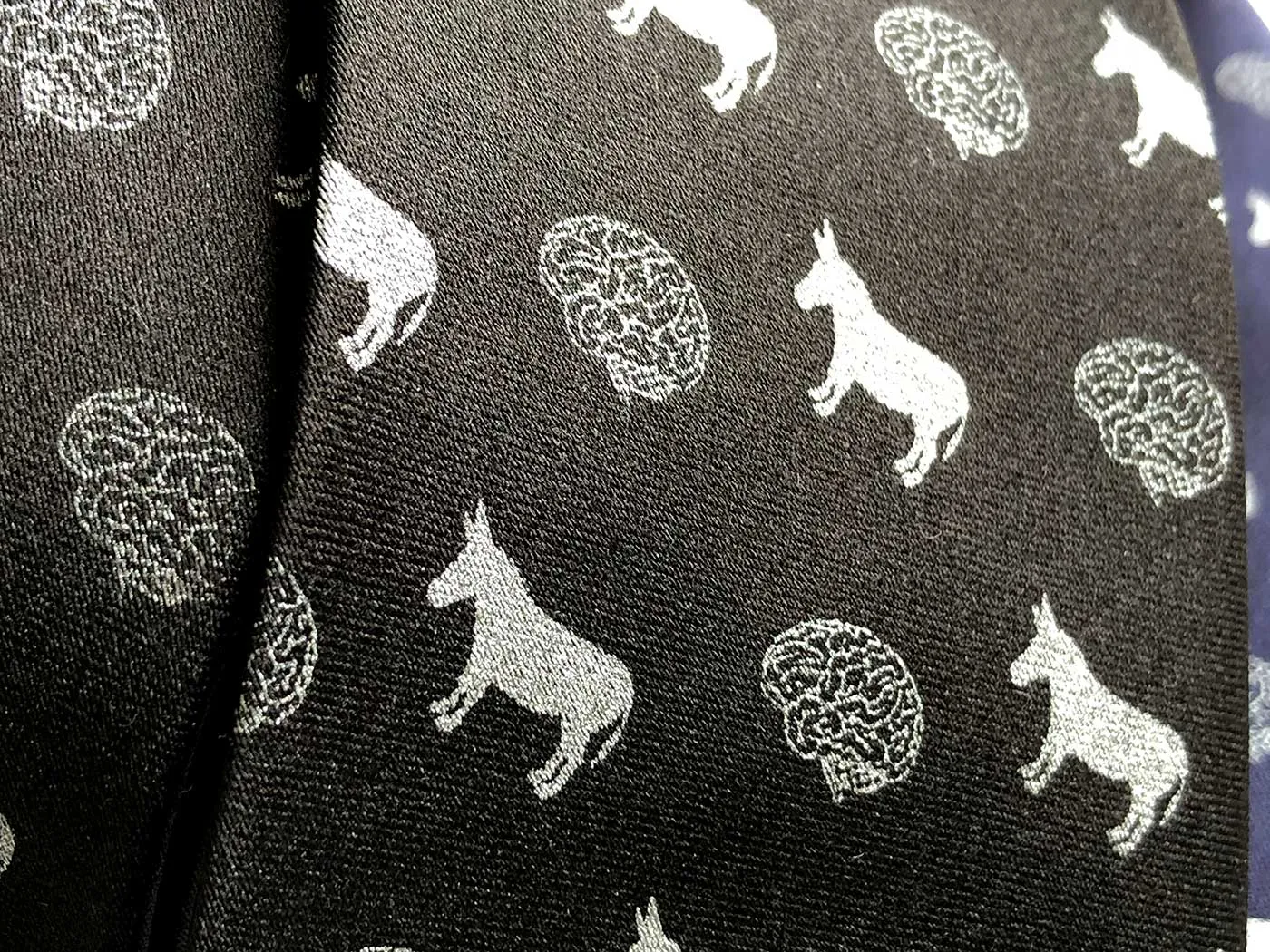 Smart Ass Necktie, Brain & Donkey Print Tie