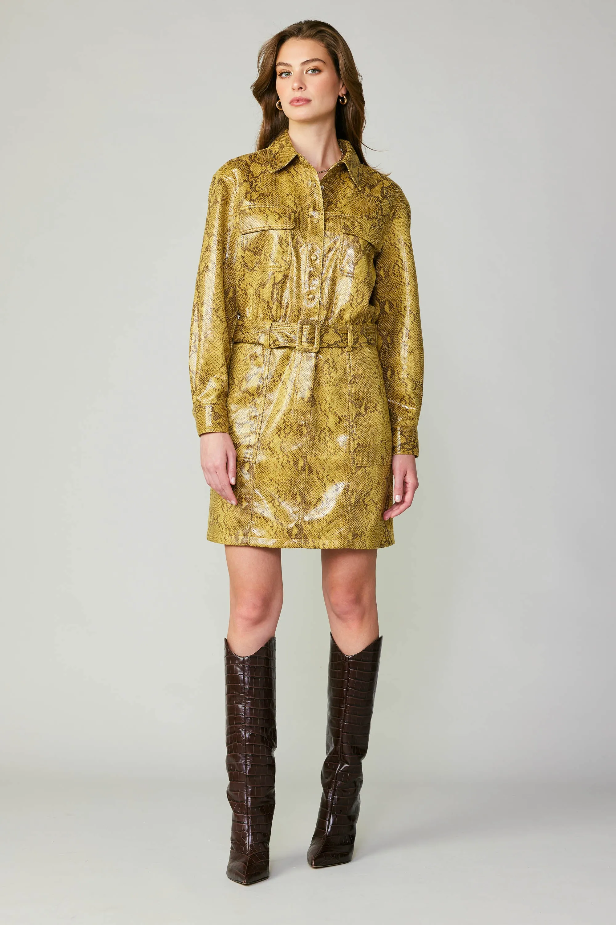 Snakeskin Shirt Dress