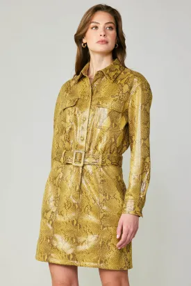 Snakeskin Shirt Dress