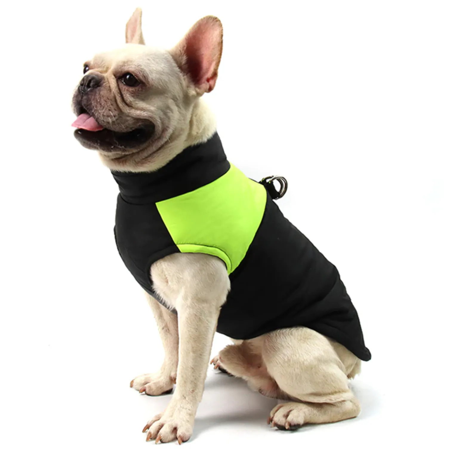 Waterproof Vest Jacket for French Bulldog (CS020)