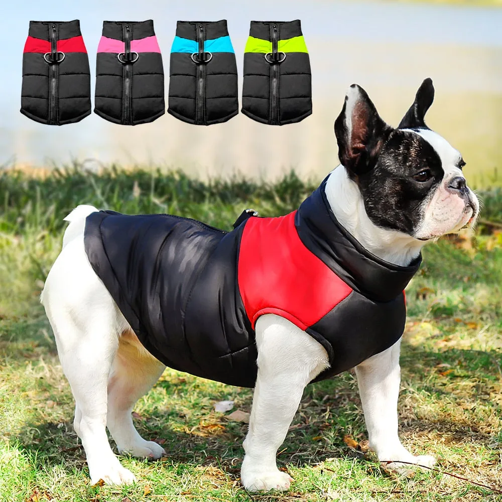 Waterproof Vest Jacket for French Bulldog (CS020)